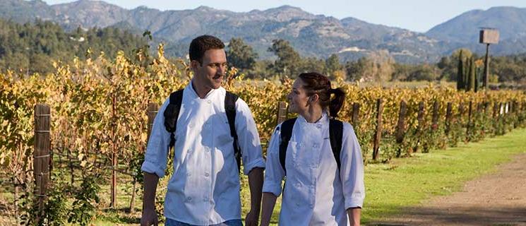 一对CIA的灰石学生在加州纳帕谷的葡萄园散步.